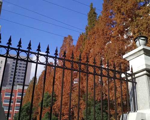 试管促排时间长影响质量么，促排短卵子质量就好吗？-正规的代孕网便宜