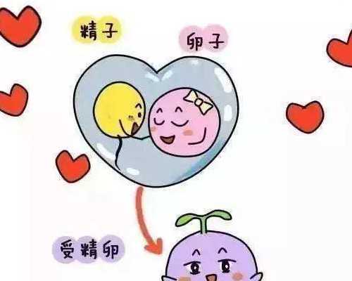 长春代孕生殖中心有做过吗|长春供卵包生男孩（试管包生男孩哪家好）